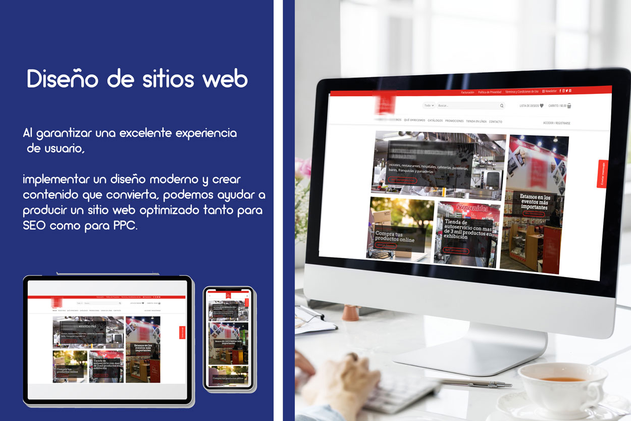 Diseño De Páginas Web Expertos En Diseño Web Cdmx 0397